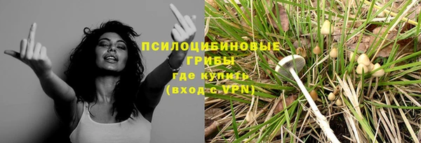 амфетамин Алексин