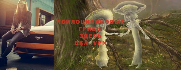 стафф Алексеевка