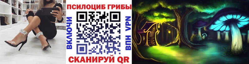 Псилоцибиновые грибы Psilocybine cubensis  Ипатово 