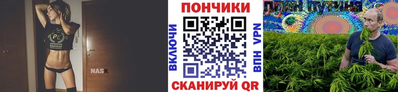 Каннабис OG Kush  дарнет шоп  Ипатово 
